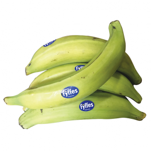 Banane plantain vert