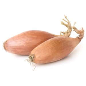 Échalote