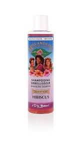 Miss antilles hibiscus