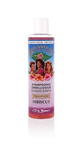 Miss antilles hibiscus