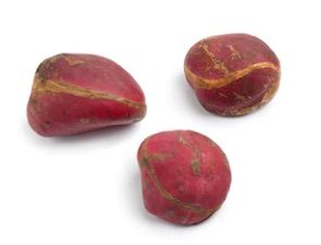 Noix de kola rouge