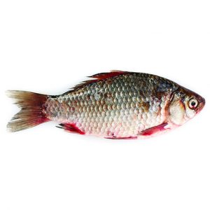 Tilapia entier rouge 3,2kg net surgelé