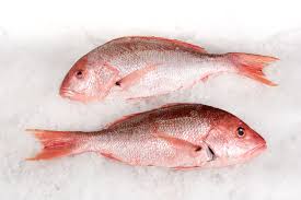 Vivaneau entier 500/1000