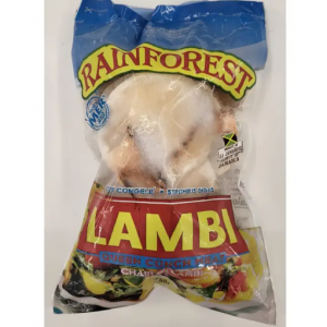 Lambi Jamaïque - 35 x 450g