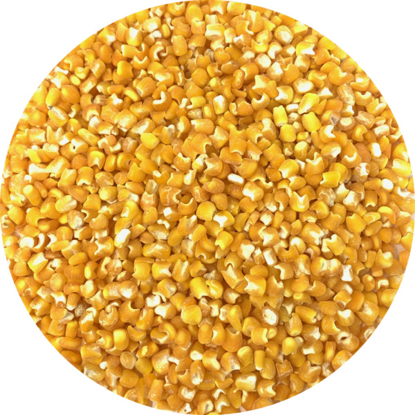 Mais degerme jaune - 12 x 1kg