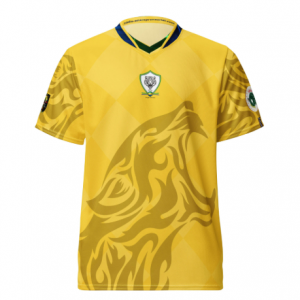 Maillot de Football du Gabon