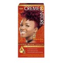 Color Gel Hair Color 6.2 Burgundy Blaze Creme of Nature coloration permanente à l’huile d’argan