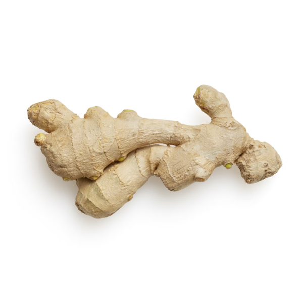 Gingembre petit afrique